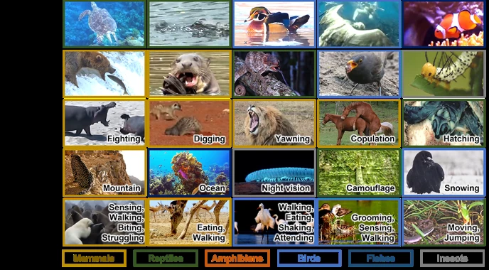 Animal Kingdom 数据集示例