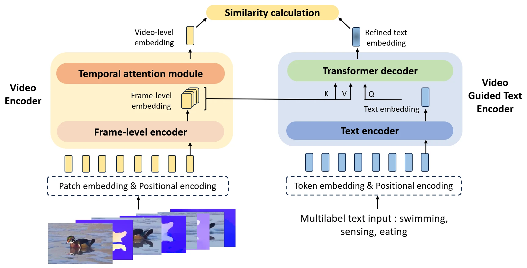 Video Recognition 模块详细架构