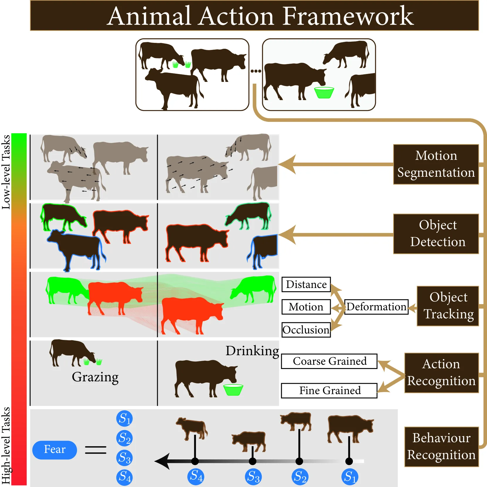 Figure 1: General framework for animal action recognition
