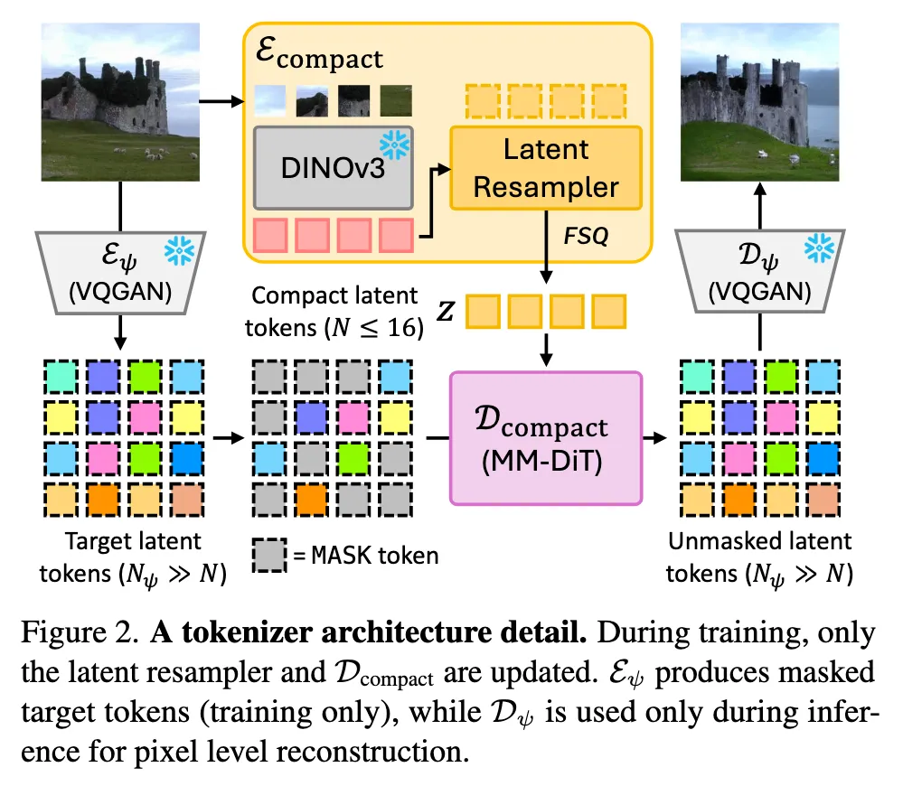 CompACT Tokenizer 架构细节
