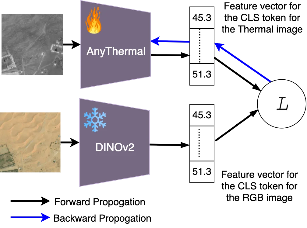 AnyThermal teacher-student architecture