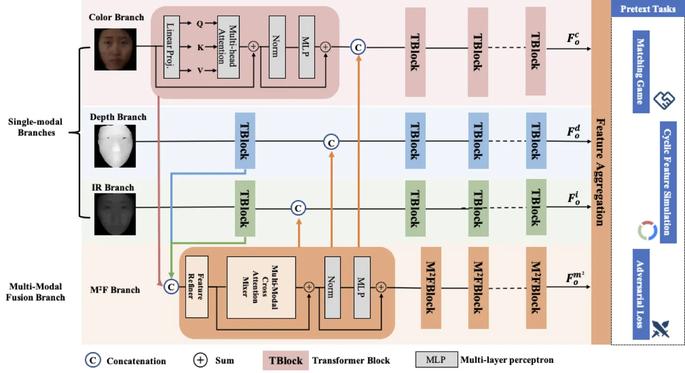 EchoMimic framework