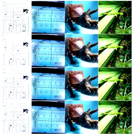 ImageNet visual reconstruction comparison