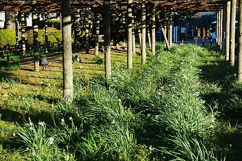 小田原城天守阁