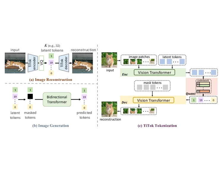 TiTok framework: encoder, quantizer and MaskGIT decoder for 1D tokenization