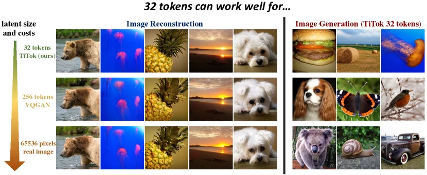 TiTok compresses a 256x256 image into 32 1D tokens