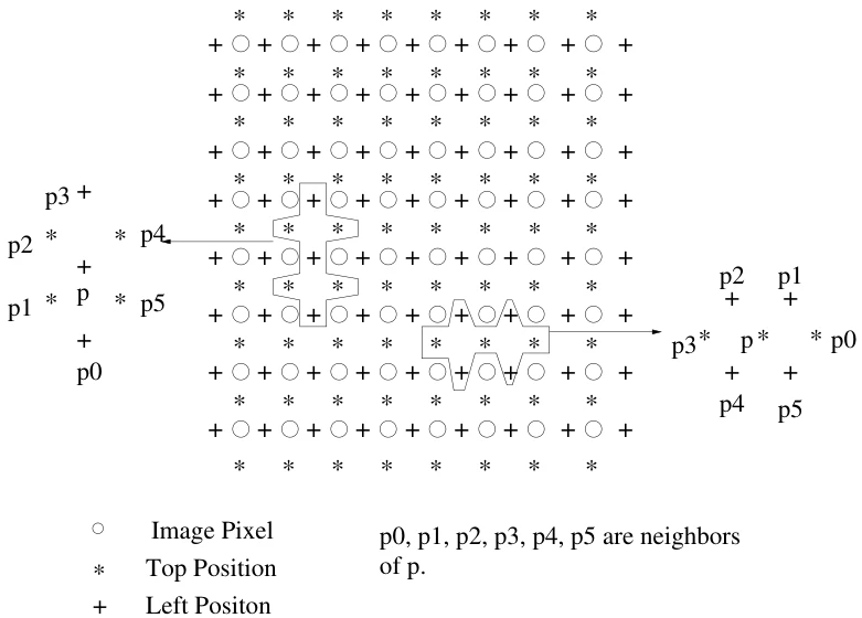 Figure 3: contour lattice 的邻域结构