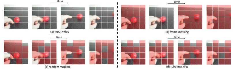 VideoMAE tube masking versus frame and random masking